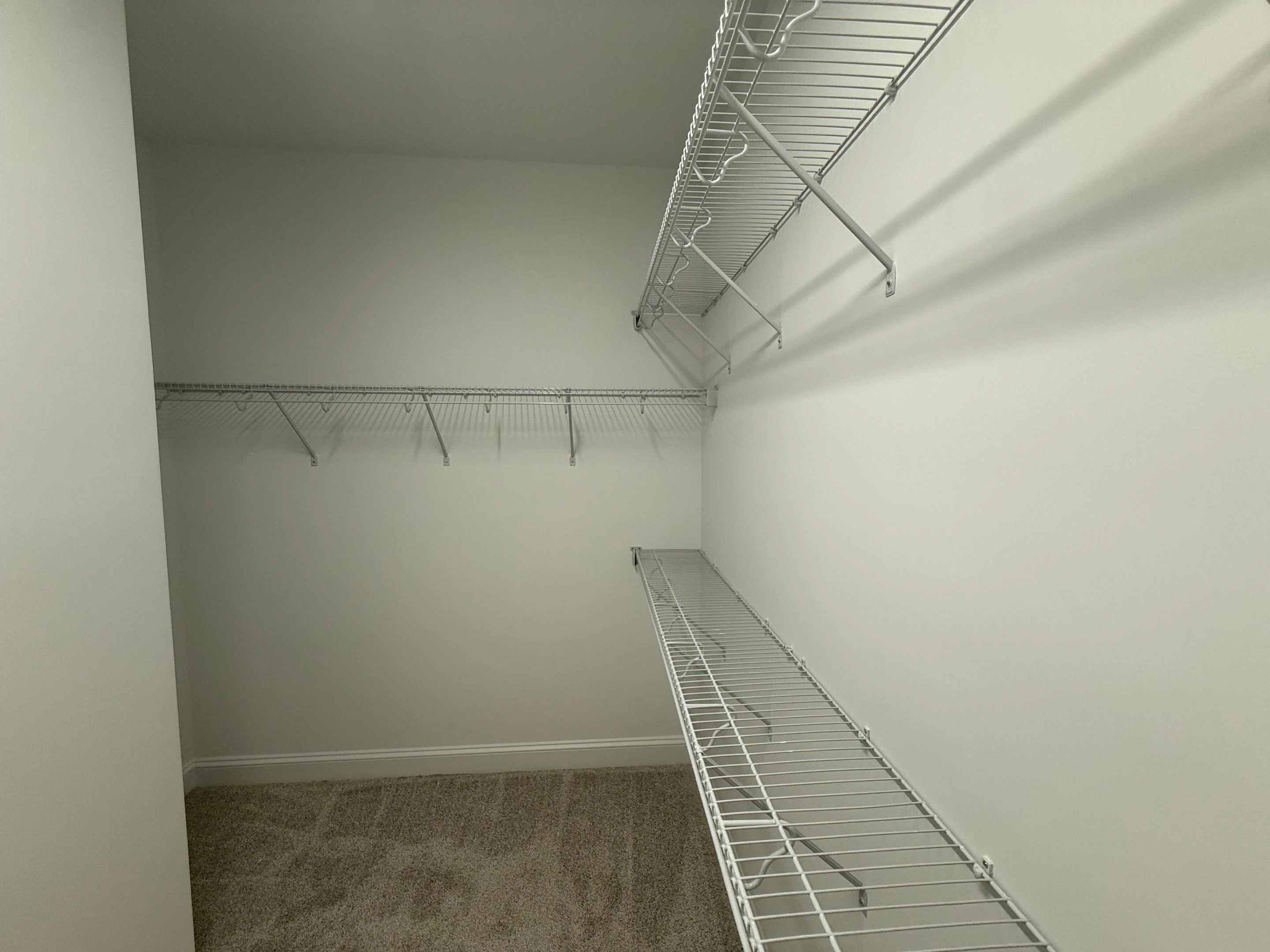 Gallery Photo 10