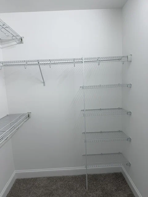 Gallery Photo 14