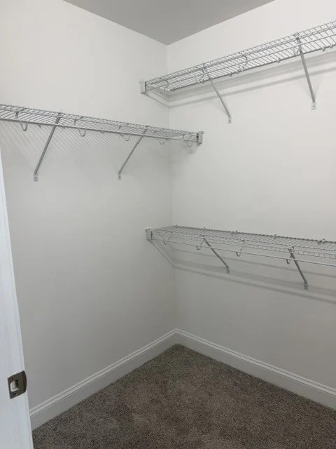 Gallery Photo 13